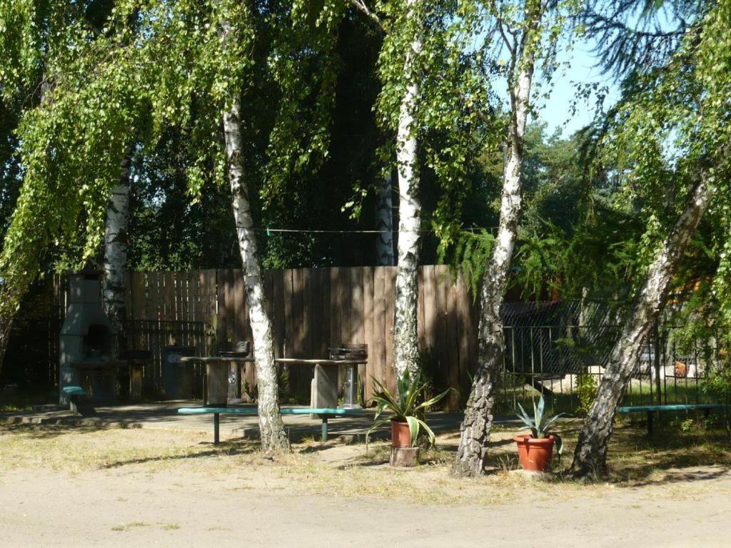 Uns Luett Wohnung Nossentiner Huette Exterior foto